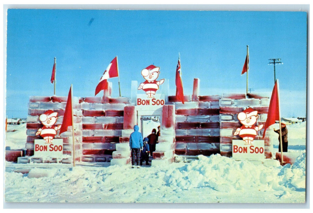 c1950's View of Salt Ste Marie Canada Winter Carnival Ice Palace Postcard