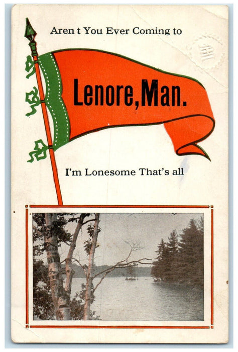 1920 Lenore Manitoba Canada Lake View Orange Pennant Flag Antique Postcard