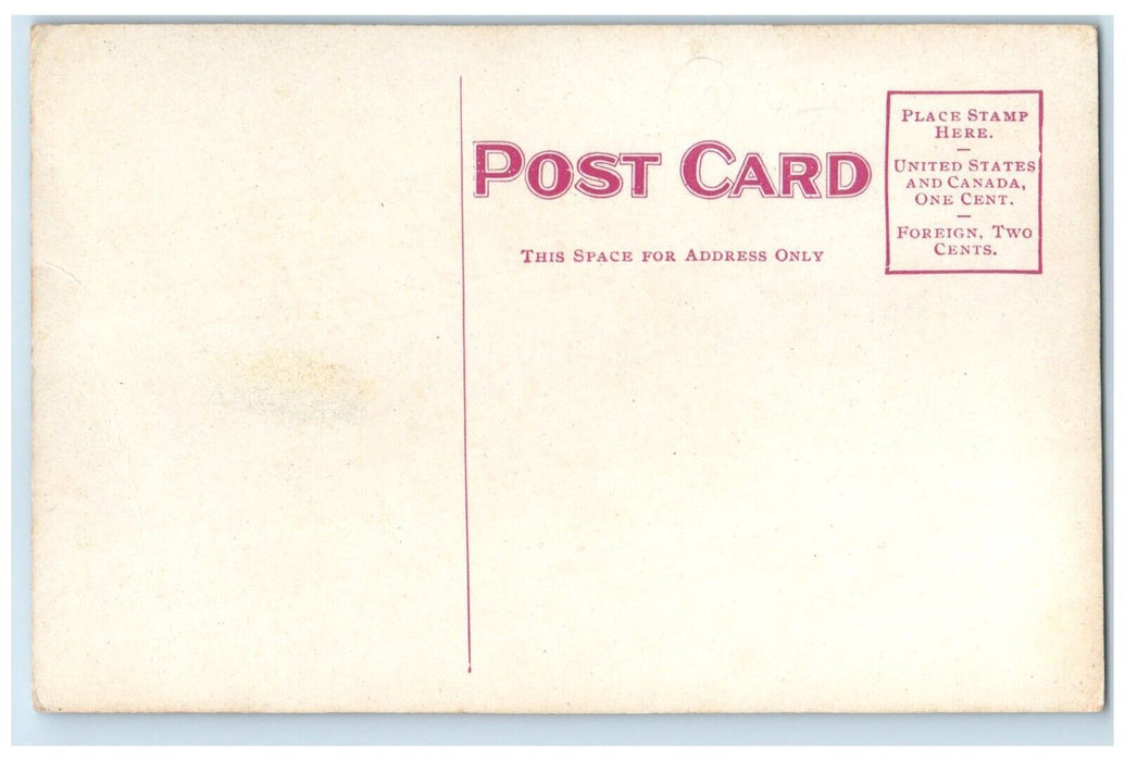 c1910 St. Sanislaus R.C. Church Chapel Road Exterior Bay City Michigan Postcard