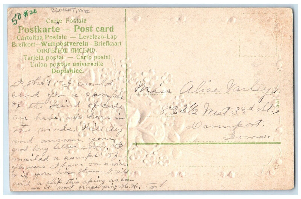 c1910 Flowers Leaves Embossed Glitter Blount Michigan Vintage Antique Postcard