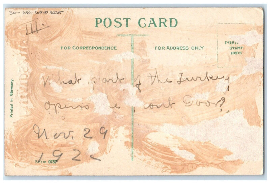 1922 Thanksgiving Greetings Woman Cornucopia Flowers Gel Gold Gilt Postcard
