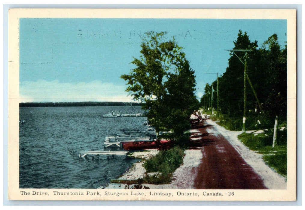 1953 The Drive Thurstonia Park Sturgeon Lake Lindsay Ontario Canada Postcard