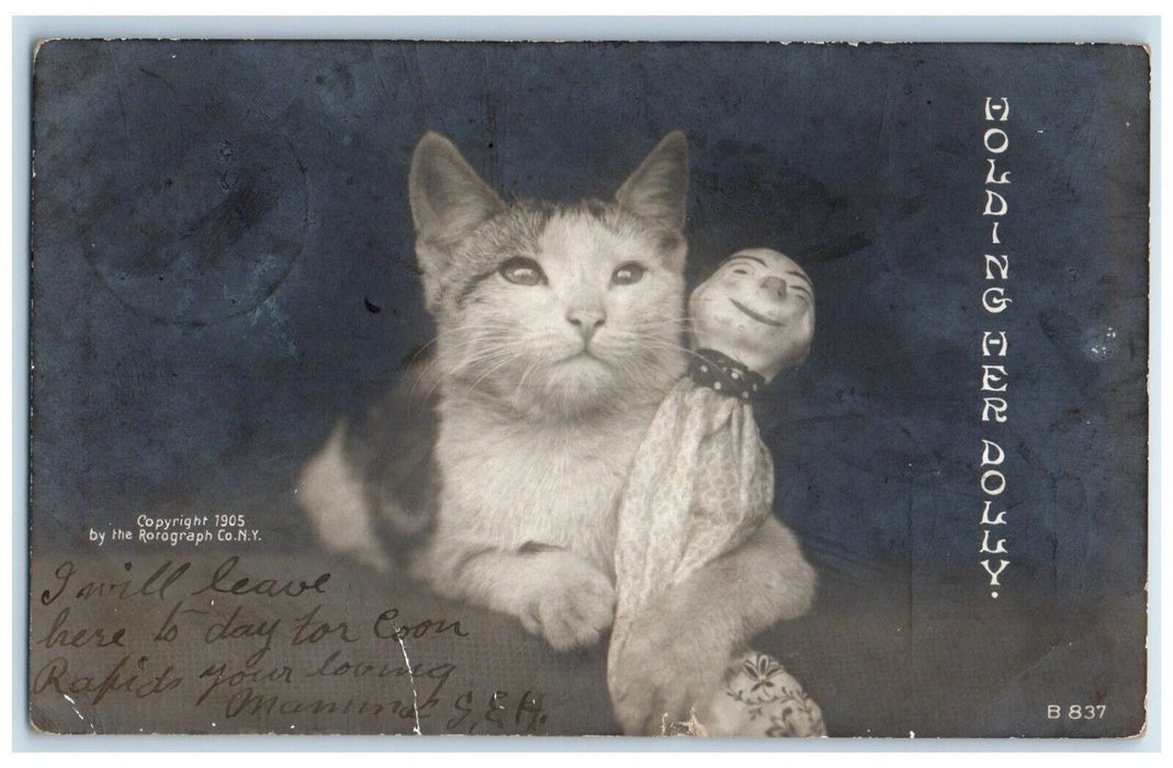 1907 Cute Cat Kitten Holding Her Dolly Rotograph Anita Iowa RPPC Photo Postcard
