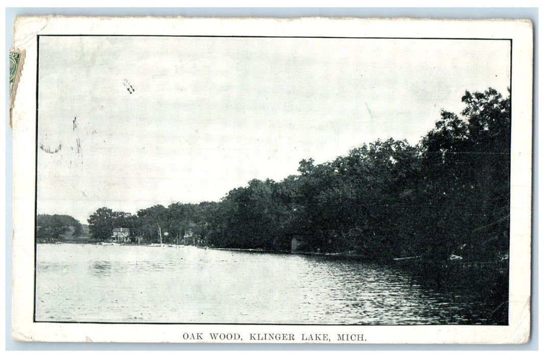 1907 Scenic View Oak Wood Klinger Lake Michigan Posted Antique Vintage Postcard