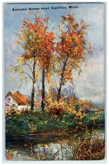 1911 View Of Autumn Scene Near Cadillac Michigan MI Posted Antique Postcard