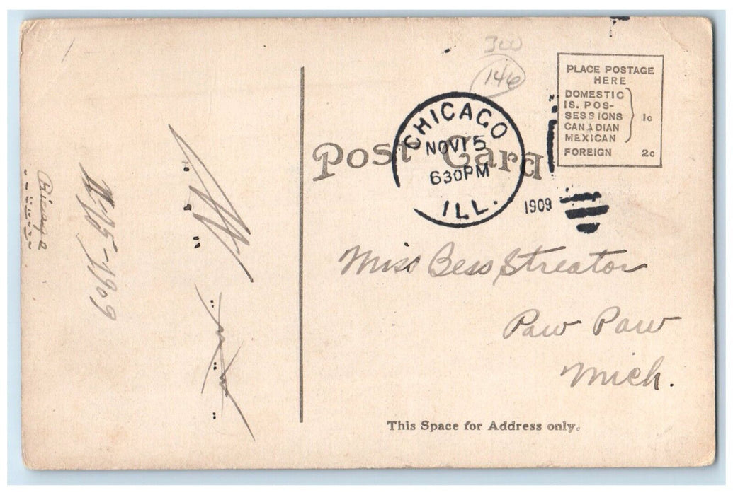 1909 As They Grow Lawton Michigan MI, Grapes Farm Chicago Illinois Postcard