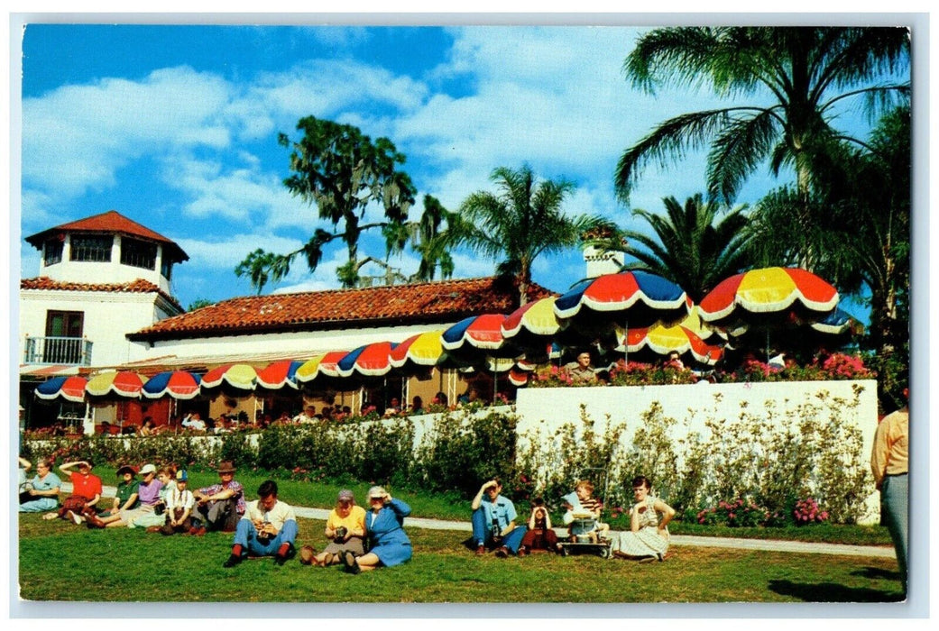 c1960's View Beautiful Terrace Overlooking Cypress Gardens Florida FL Postcard