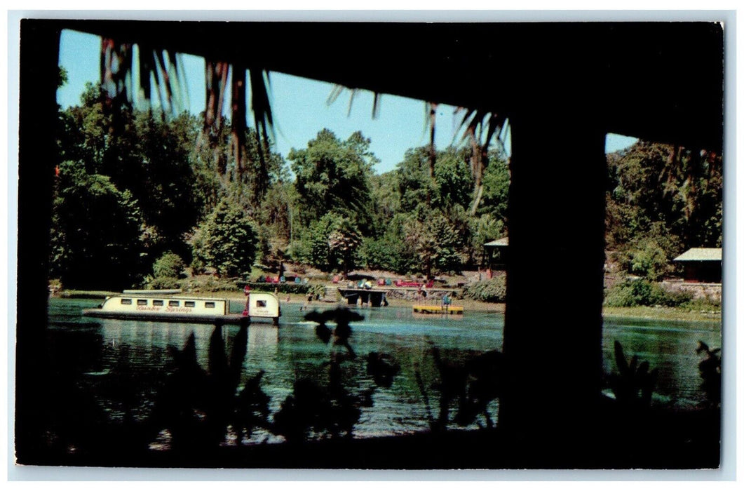 c1960 Exotic Frame Looking Out Over Rainbow Springs Dunnellon Florida Postcard