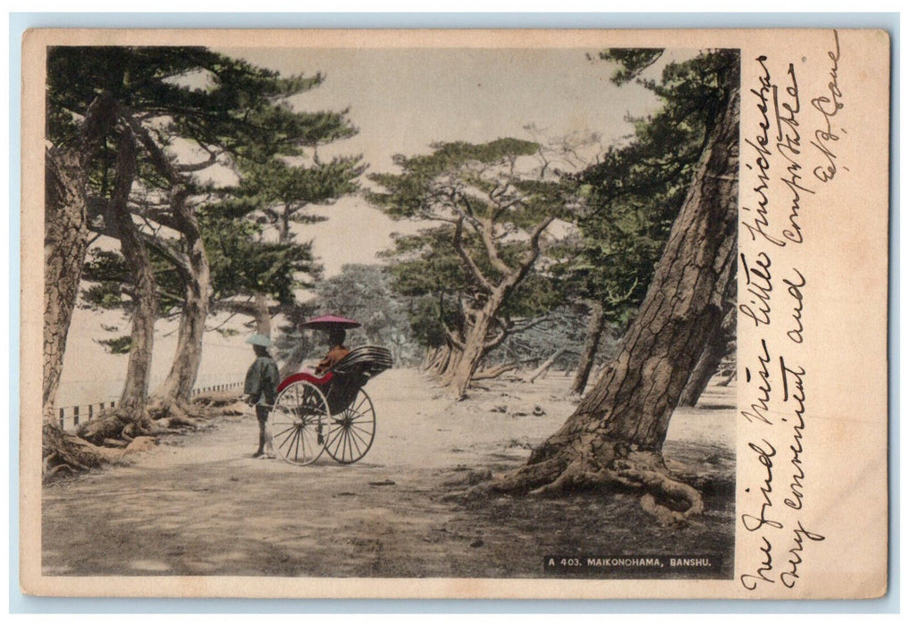 1906 Maikonohama Banshu Yokohama Japan to Buffalo NY Horse Carriage Postcard