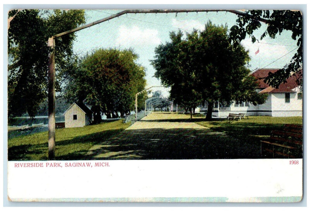 c1905 Scene Trees Bench Riverside Park Saginaw Michigan Vintage Antique Postcard