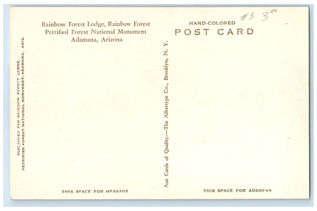 Rainbow Forest Lodge Pretified National Monument Adamana AZ Handcolored Postcard