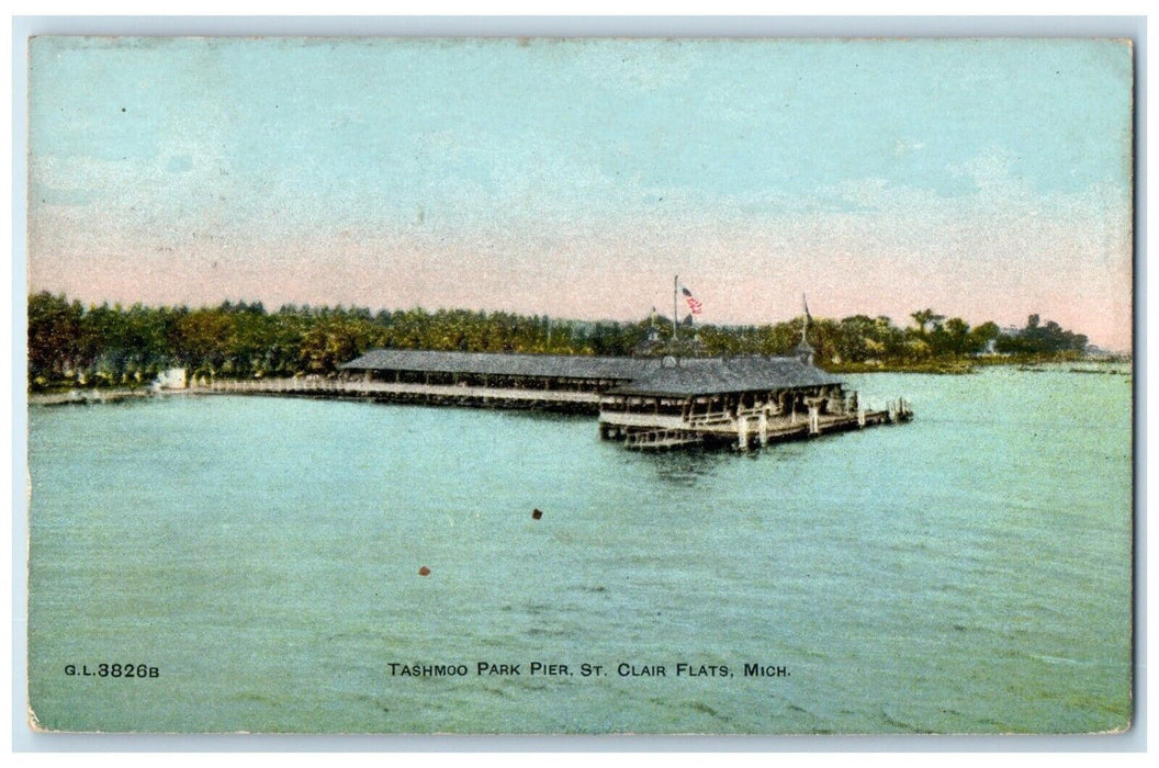 c1910 Aerial View Tashmoo Park Pier St Clair Flats Michigan MI Vintage Postcard