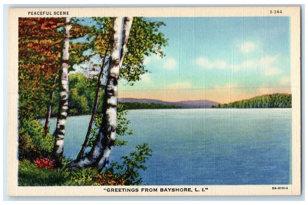c1940 Greetings From Bayshore River Lake Long Island New York Vintage Postcard