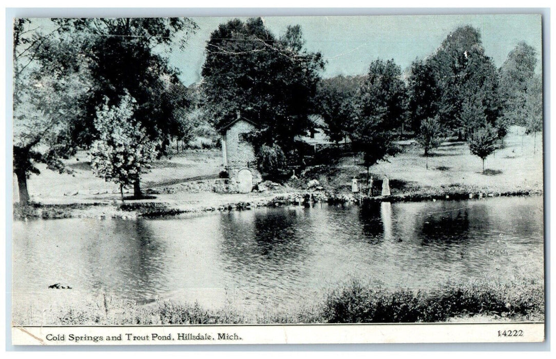 c1910 Scenic View Cold Springs Trout Pond Hillsdale Michigan MI Vintage Postcard