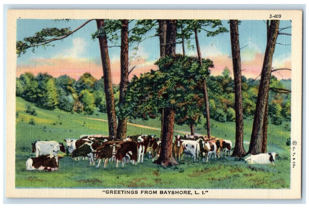 c1940 Greetings From Cow Herd Bayshore Long Island New York NY Vintage Postcard