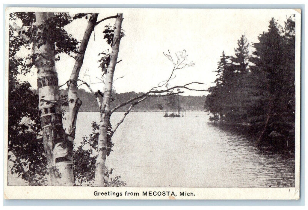 c1910 Scenic View Lake River Greetings From Mecosta Michigan MI Antique Postcard