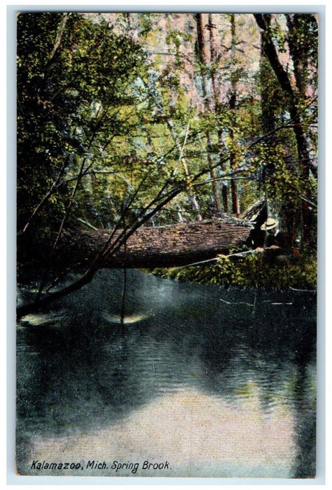 1909 Man Fishing River Spring Brook Kalamazoo Michigan Vintage Antique Postcard