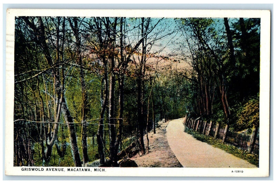 1929 Scene Road Way Trees Griswold Avenue Macatawa Michigan MI Antique Postcard