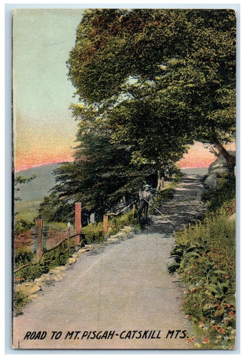 1913 Scenic View Man Sweeping Road Mt Pisgah-Catskill Mountain New York Postcard