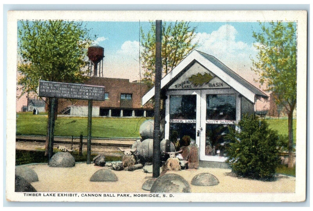 c1920 Timer Lake Exhibit Cannon Ball Park Mobridge South Dakota Vintage Postcard
