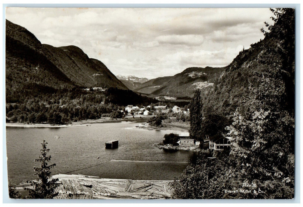 c1940's River Mountain View Dalen Totemark Norway Vintage RPPC Photo Postcard