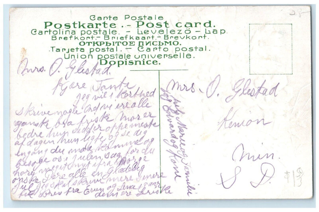 c1910 Greetings From Flowers Leaves Embossed Glitter Irene South Dakota Postcard