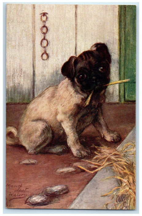 c1910's Cute Pug Puppy Dog Pet Animals Oilette Tuck's Unposted Antique Postcard