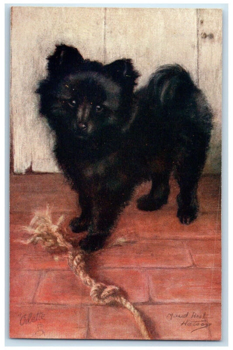 c1910's Pomeranian Puppy Dog Pet Animals Oilette Tuck's Antique Postcard