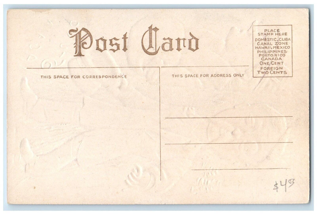 c1910's Stung Again Man Handwarmer Embossed Unposted Antique Postcard