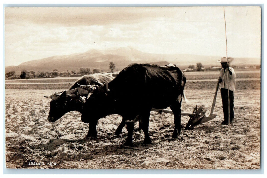 c1950's Buffalo For Farming Arandas Jalisco Mexico Vintage RPPC Photo Postcard