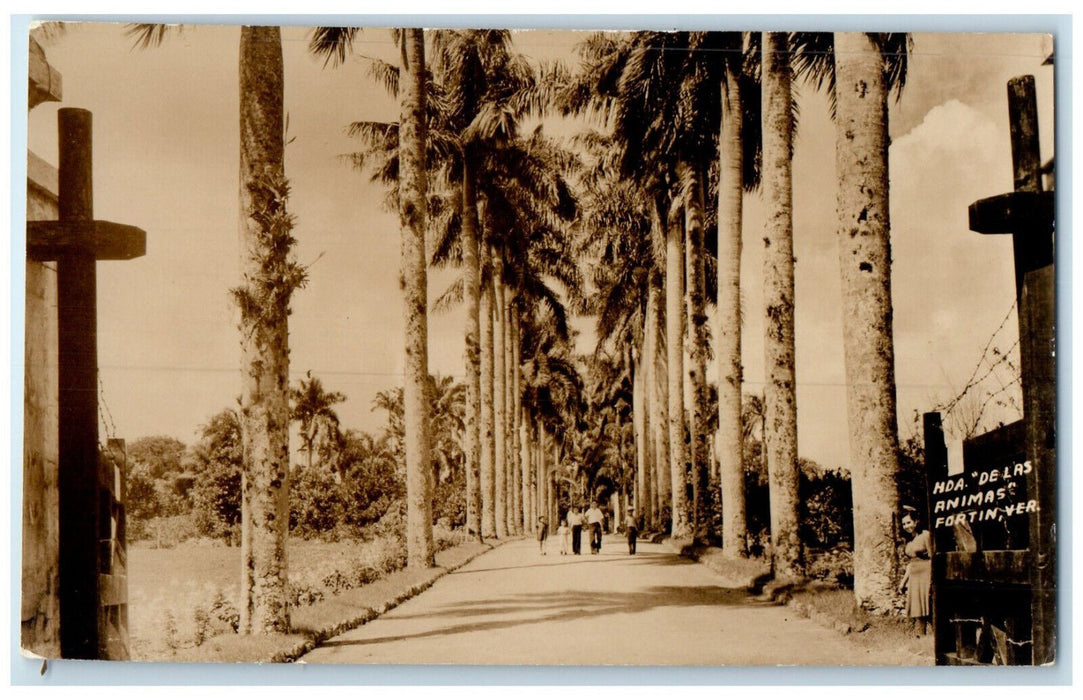 c1950's Scene of a Family Walking RPPC Photo Vintage Mexico Postcard