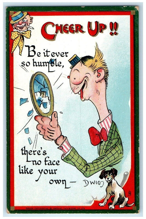 c1910's Cheer Up Ugly Man Mirror Dog Dwig Tuck's Embossed Antique Postcard