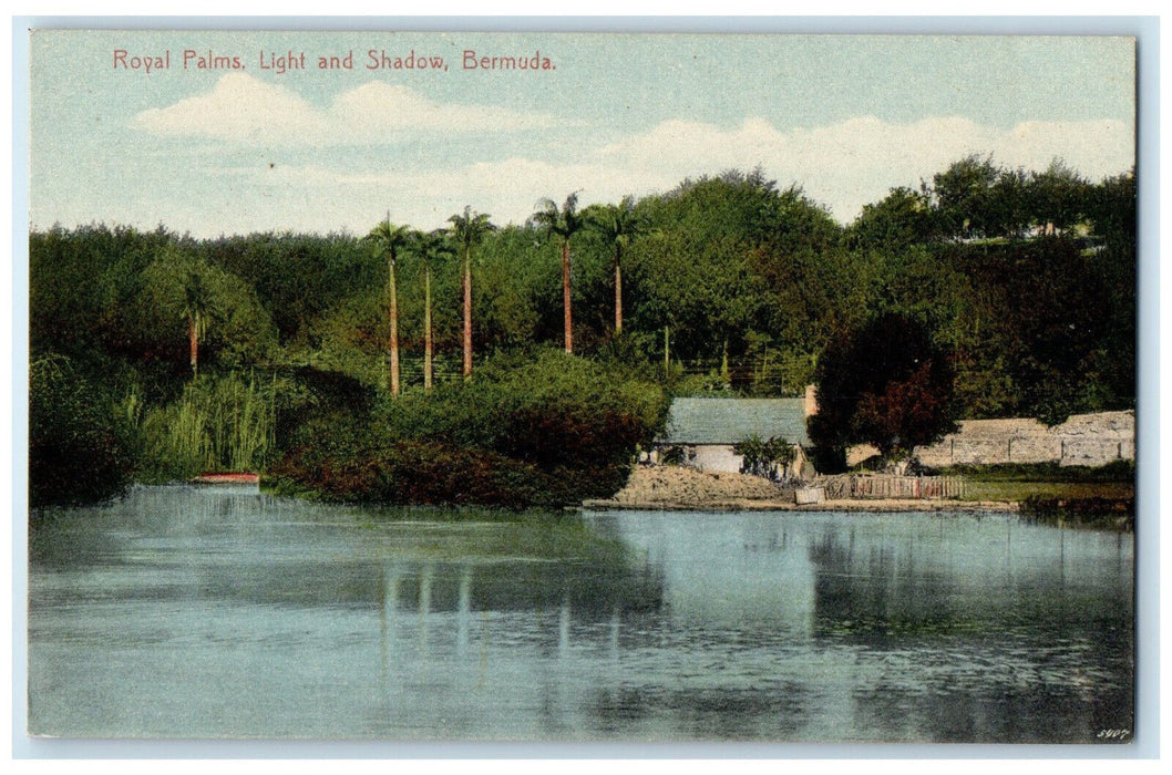 c1910 Royal Palms Light and Shadow Bermuda Antique Unposted Postcard
