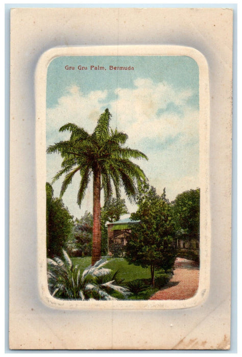 c1910 View of Pathway Gru Gru Palm Bermuda Antique Unposted Embossed Postcard