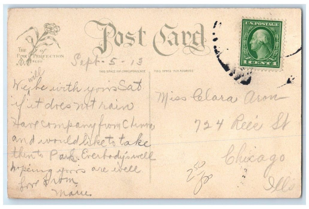 1913 Pretty Woman Curly Hair Big Hat Chicago Illinois IL Posted Antique Postcard