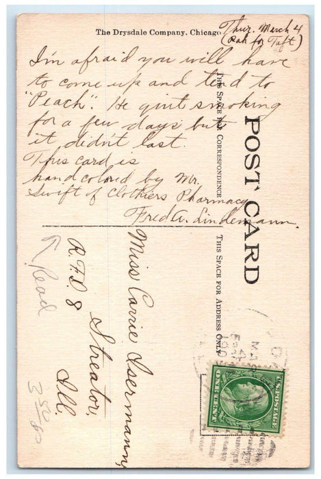 c1910's Pretty Woman Brown Hair Streator Illinois IL Posted Antique Postcard