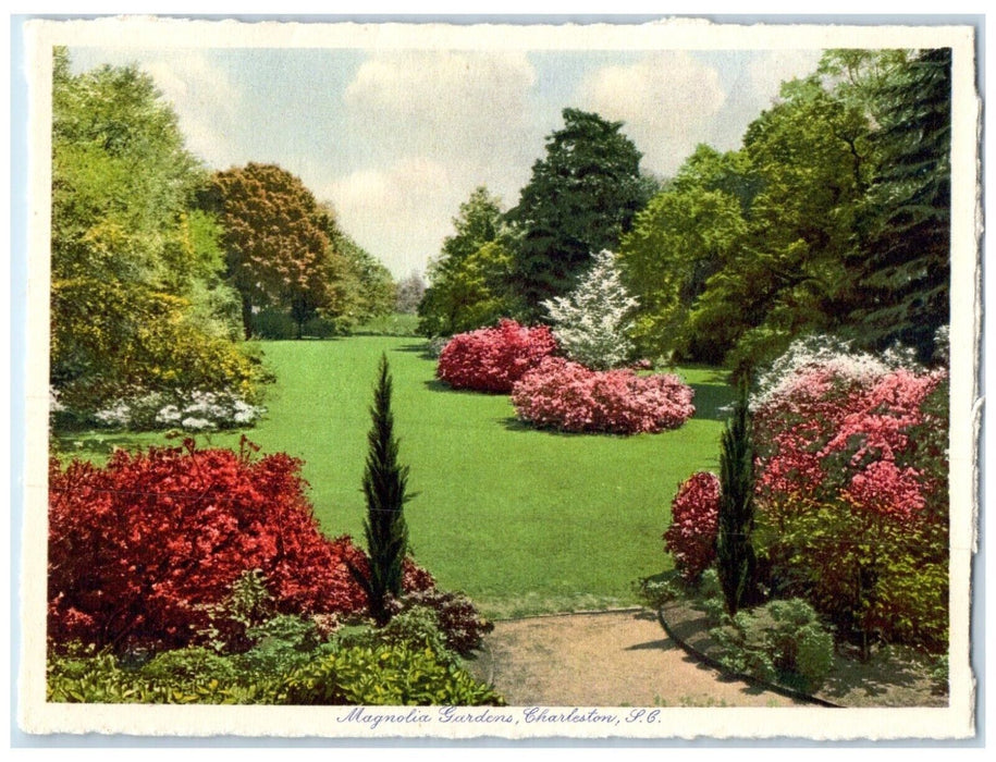 View Of Magnolia Gardens Charleston South Carolina SC Unposted Vintage Postcard