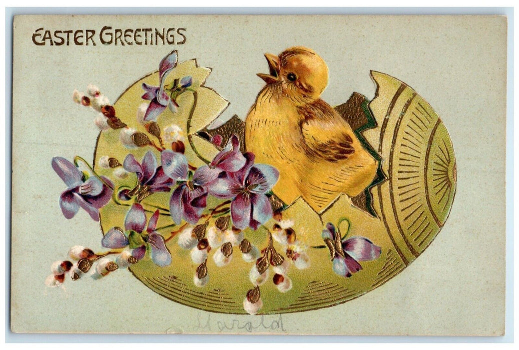 1908 Easter Greetings Chick Hatched Egg Flowers Pipe Berry Embossed Postcard