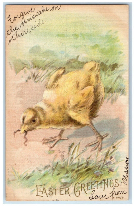 1907 Easter Greetings Chick Eating Worm Wallkill New York NY Rotograph Postcard