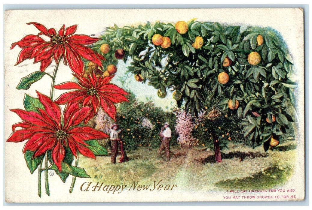 1915 Happy New Year Poinsettia Flowers Man Harvesting Orange EmbossedPostcard