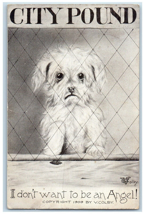 1910 City Pound Cute Dog I Don't Want To Be An Angel Fowler Indiana IN Postcard