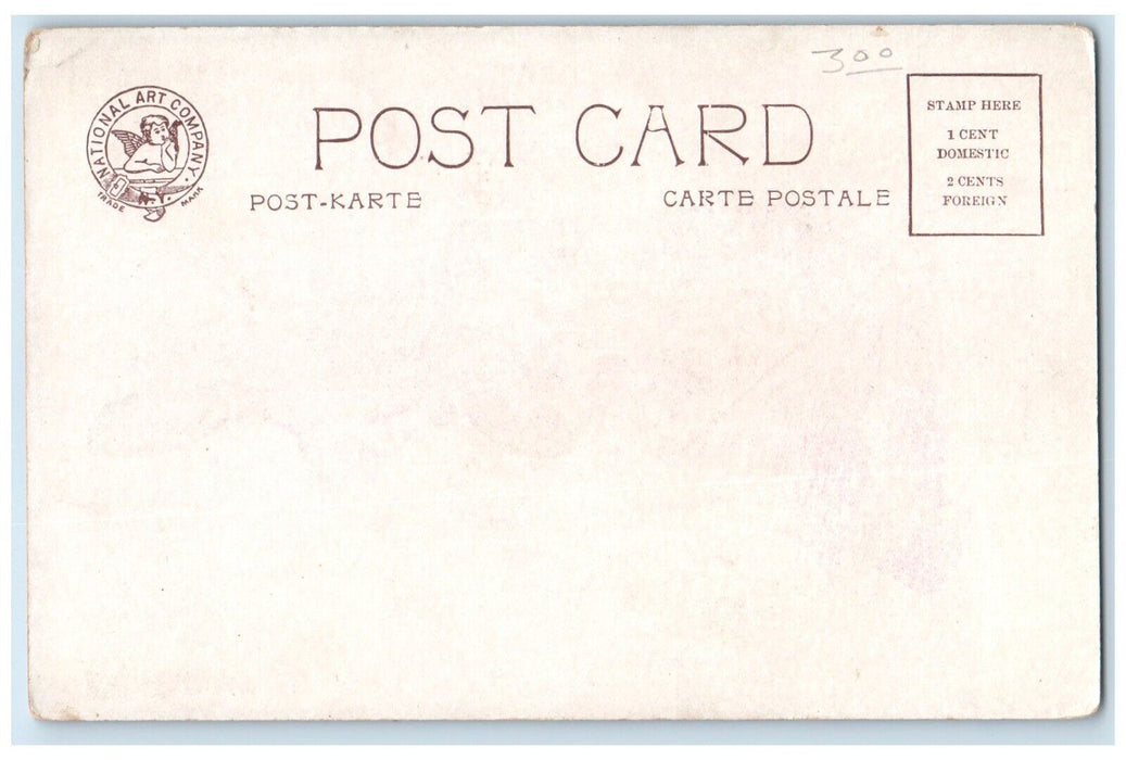 c1905 Pretty Woman Dressed Bonnet Miss Boston Unposted Antique Postcard
