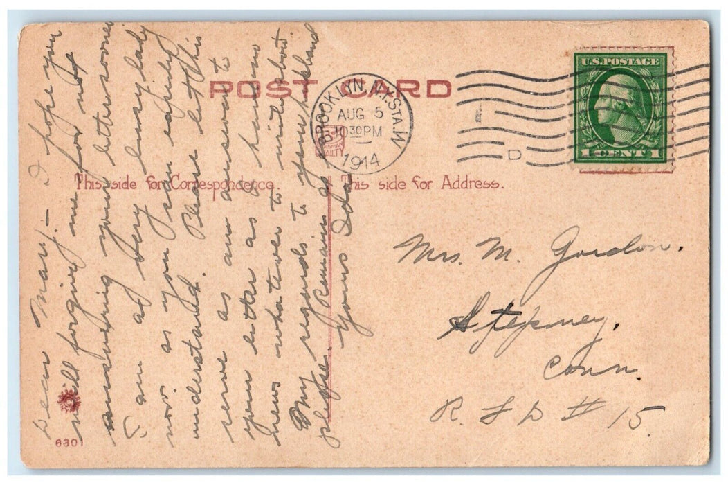 1914 Pretty Woman Feather Braided Hair Brooklyn NY Native American Postcard