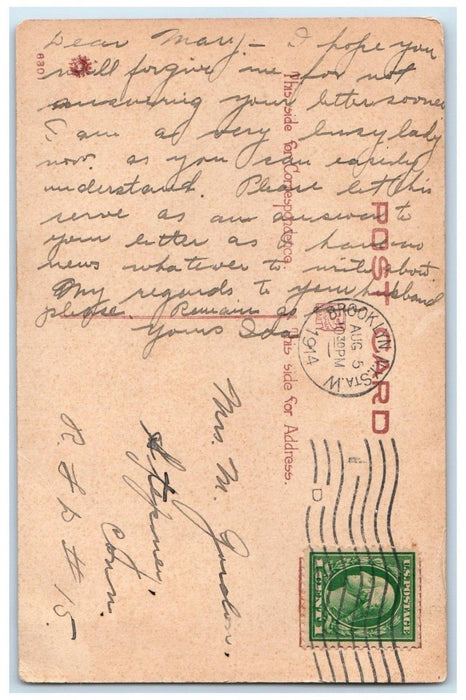 1914 Pretty Woman Feather Braided Hair Brooklyn NY Native American Postcard