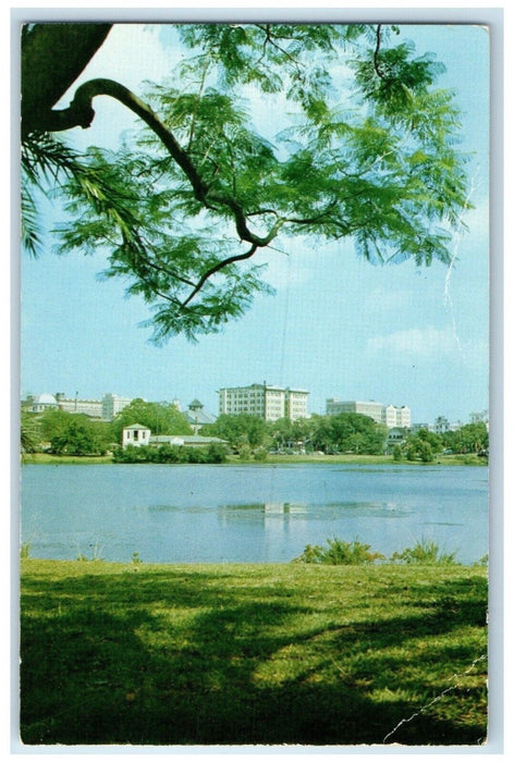 c1960 Mirror Lake River Trees Exterior Building St. Petersburg Florida Postcard
