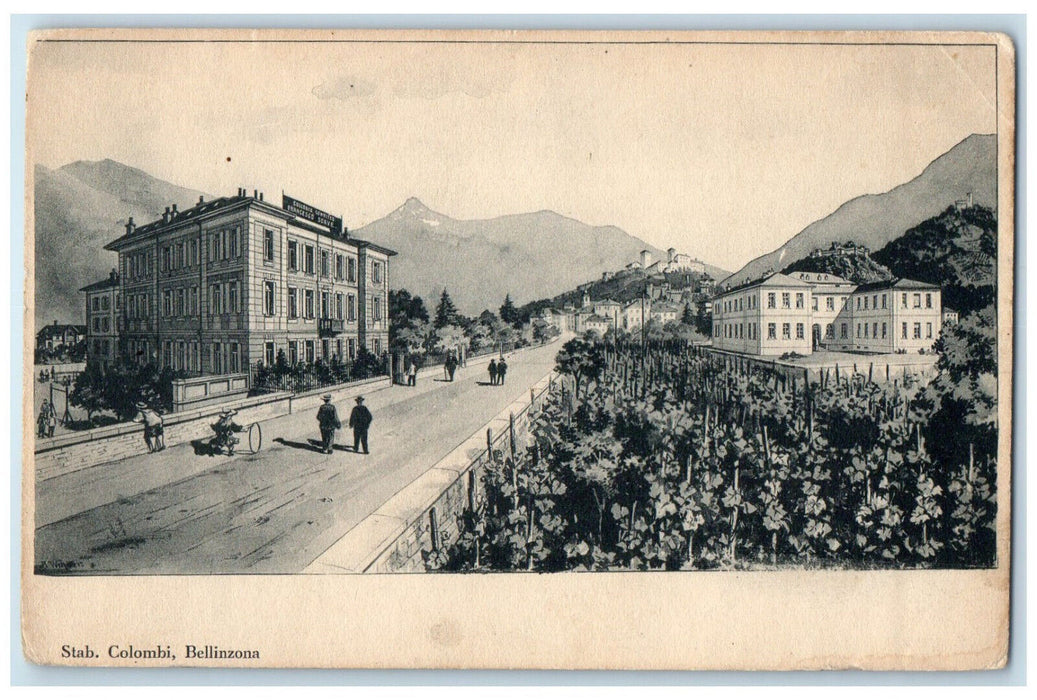 c1905 Stab. Colombi Bellinzona Ticino Canton Switzerland Unposted Postcard