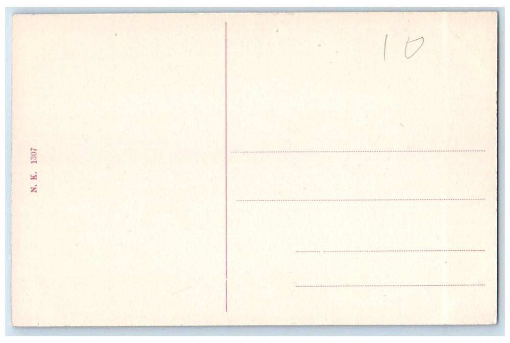 c1910 View From Koppang Trees with Fence Houses Innlandet Norway Postcard