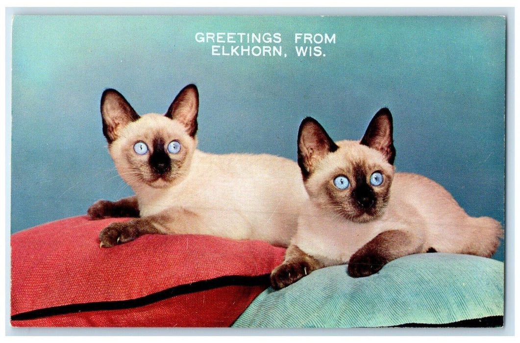 c1960 Greetings From Elkhorn Wisconsin Blue Eyed Wonder Siamese Antique Postcard