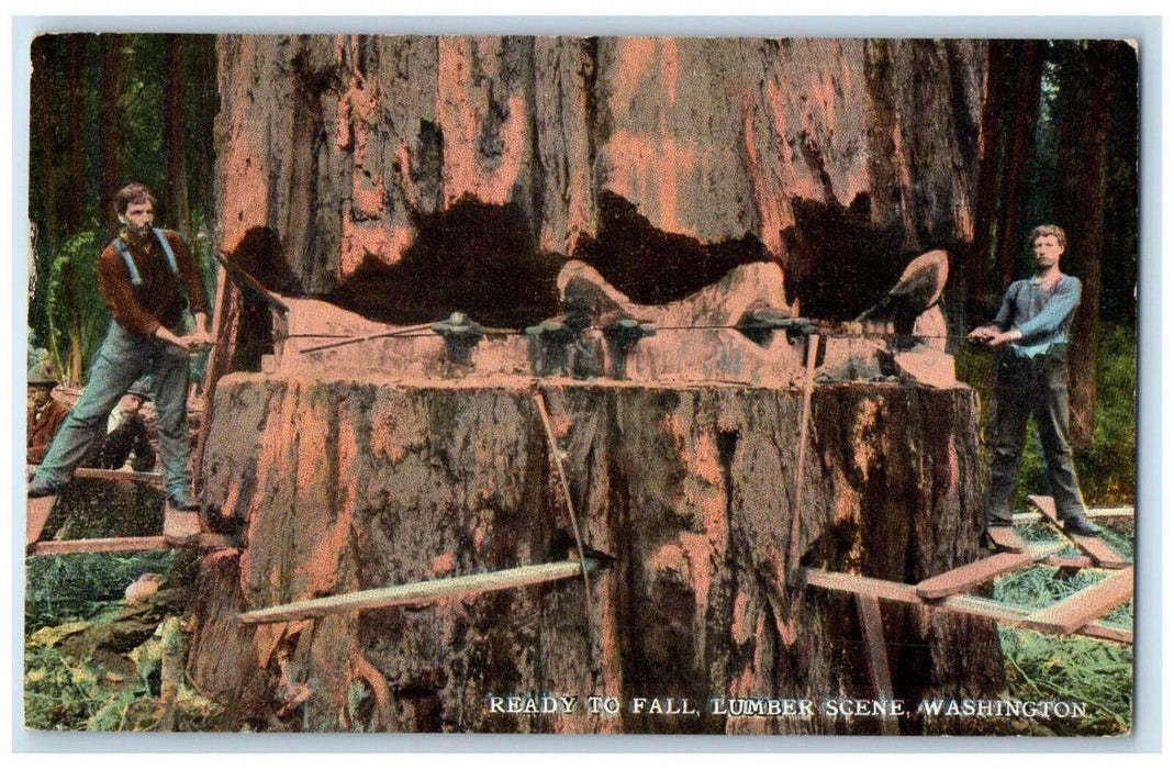 1917 Ready To Fall Lumber Scene Washington WA Antique Posted Postcard