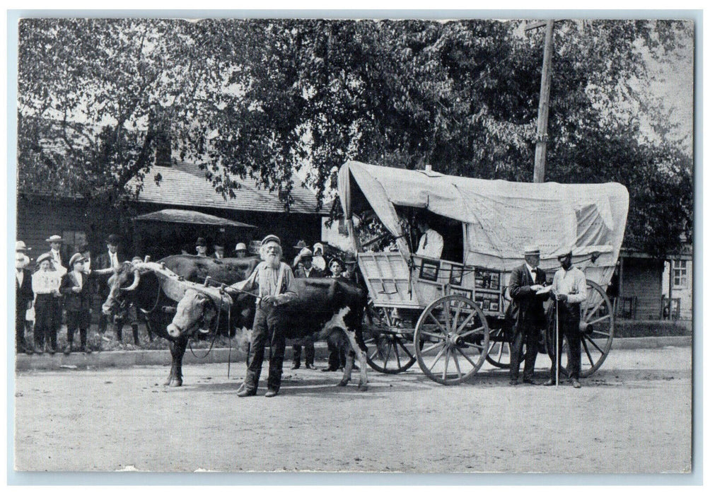 c1940's Bearded Ezra Meeker Stop His Ox Team in Fremont Nebraska NE Postcard